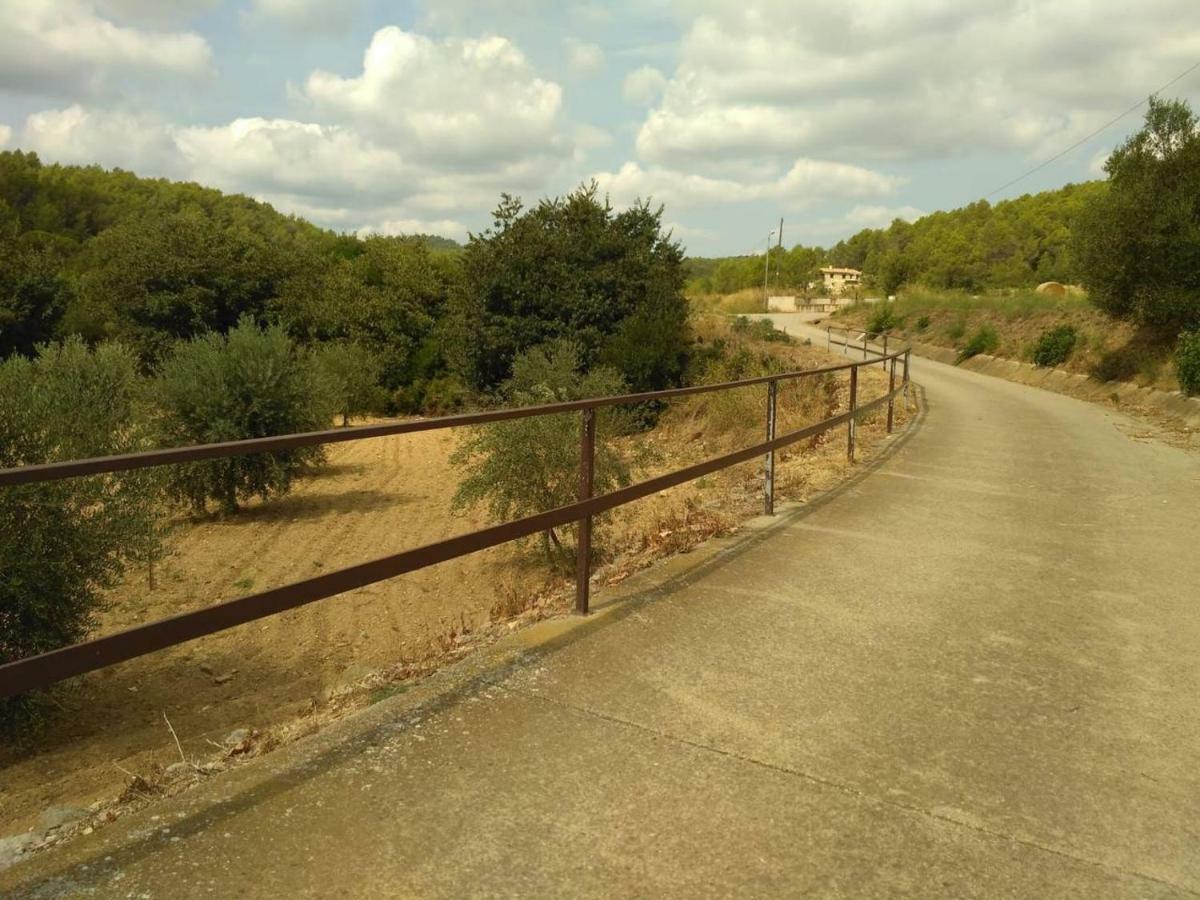 Apartamento En Terrades, Emporda エクステリア 写真